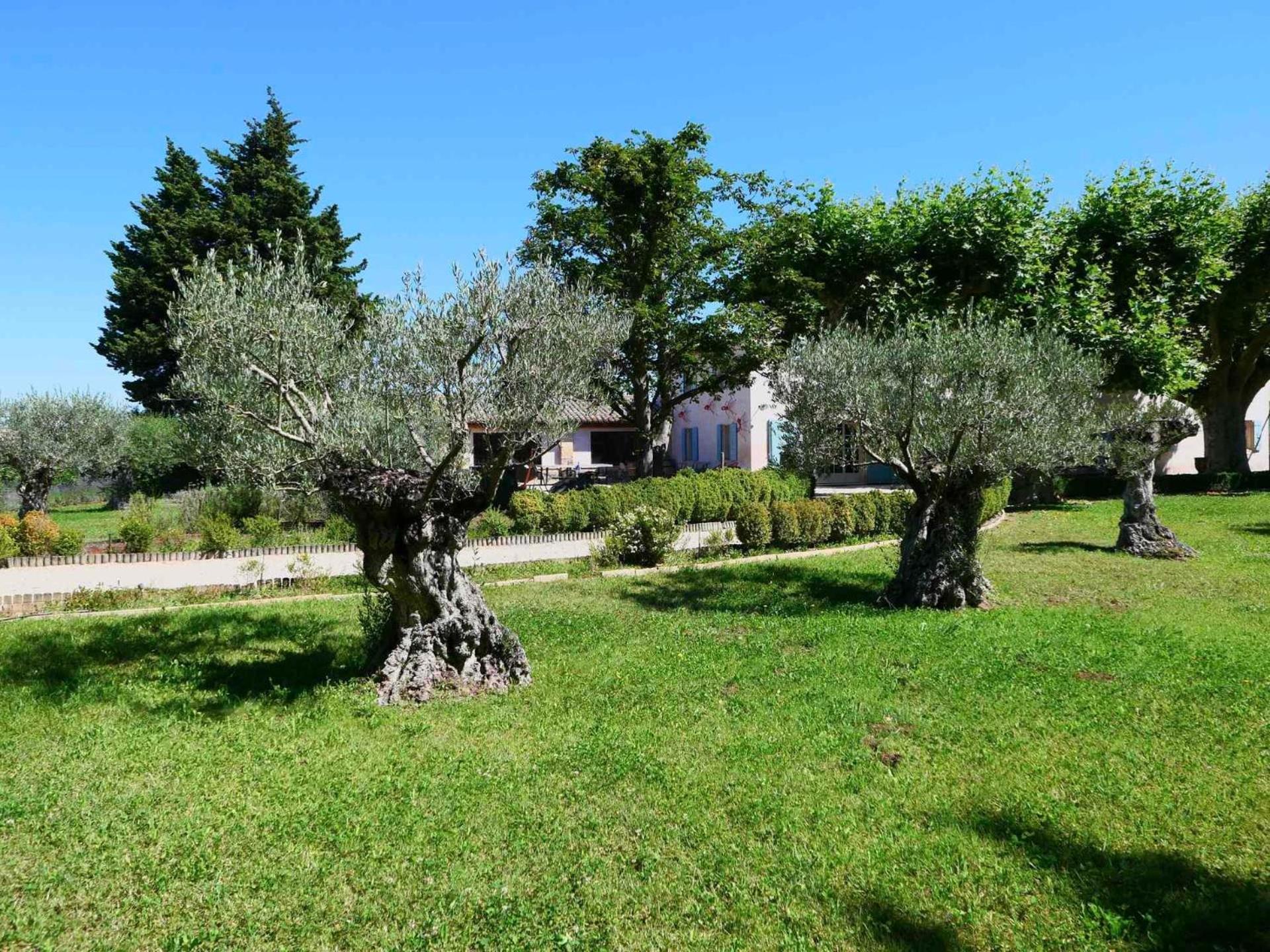 Typical Provencal Farm House Close To L'Isle Sur La Sorgue - 12 Persons Cavaillon Eksteriør billede