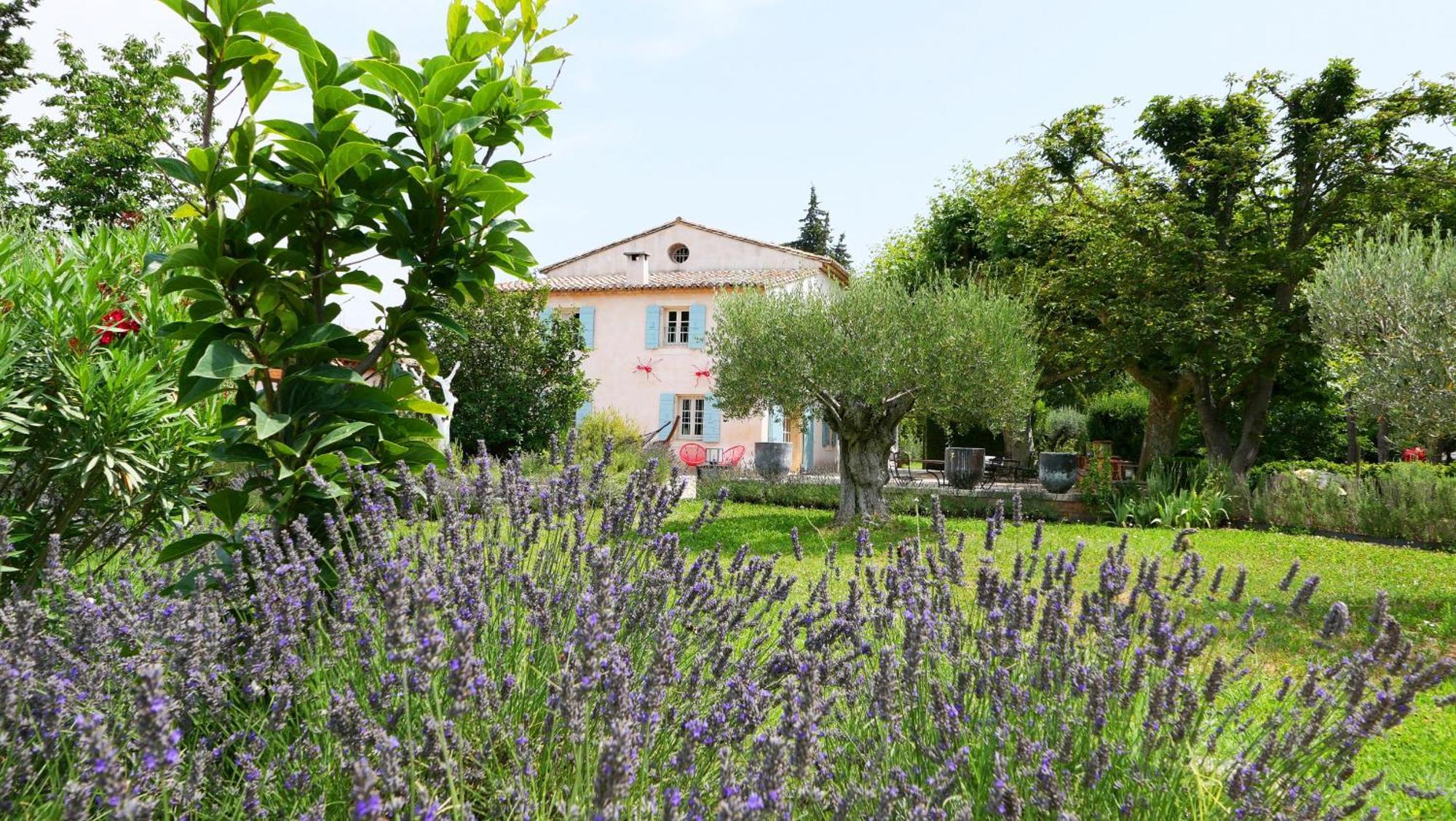 Typical Provencal Farm House Close To L'Isle Sur La Sorgue - 12 Persons Cavaillon Eksteriør billede